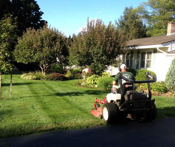 Darlton W Cenate & Sons performing Lawn Maintenance