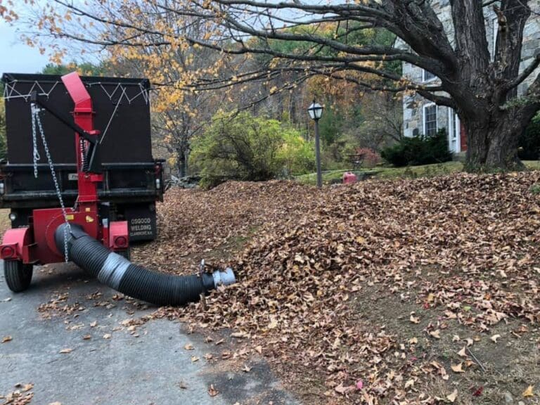 Leaf removal