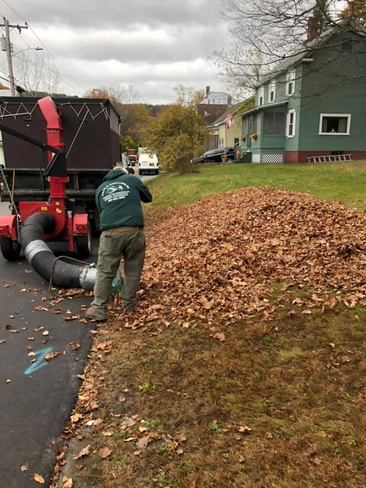 Leaf removal