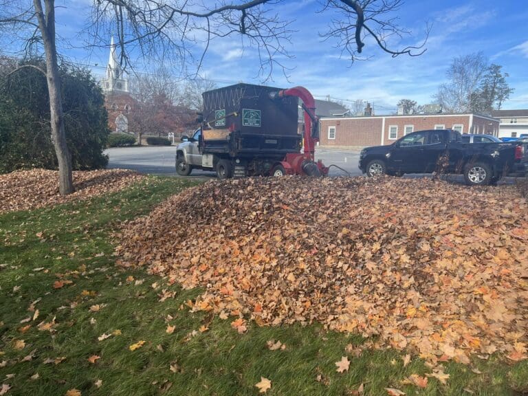 fall cleanup